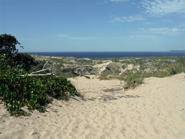 getting closer to Lake Michigan